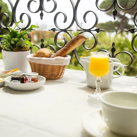 Hotel Saint Andre 3*